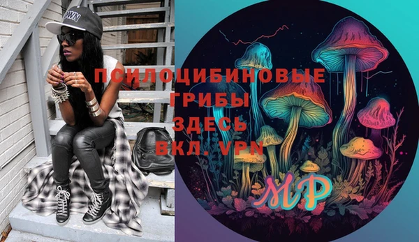 мяу мяу кристалл Покачи