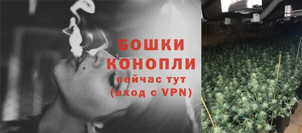 дмт Покровск