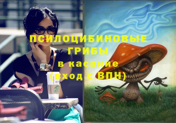 дмт Покровск