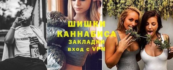 ГАЛЛЮЦИНОГЕННЫЕ ГРИБЫ Пестово