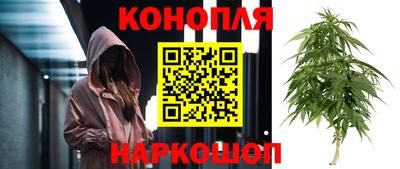 стаф Волгодонск