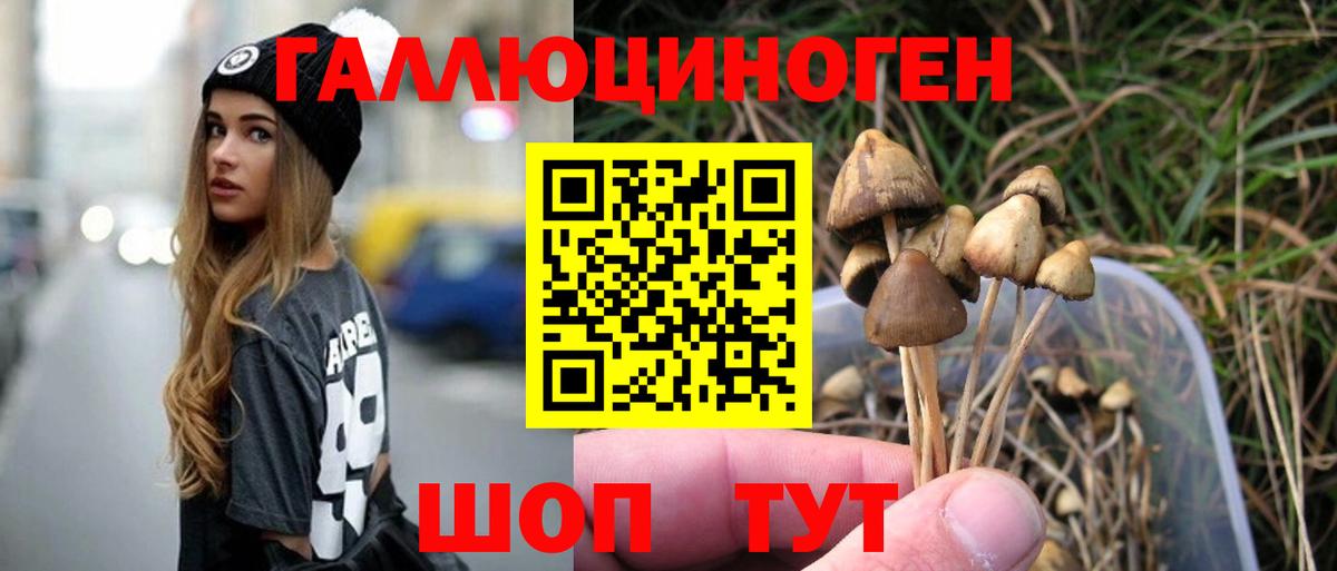 Кирово-Чепецк  Псилоцибиновые грибы Cubensis  купить закладку  Вход с VPN 